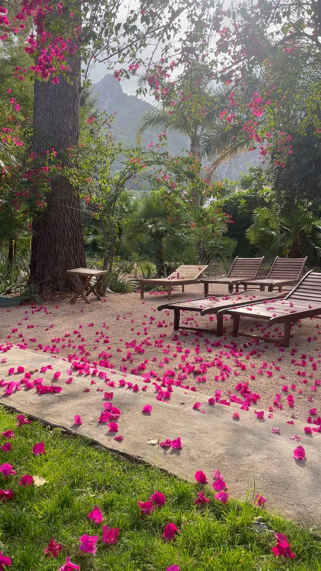 A78EA263-FF88-47F4-BC13-B6AF37C23F23_1_102_o